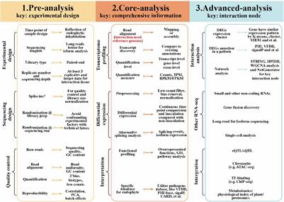 Transcriptomic and Metabolomic Approaches Deepen Our Knowledge of Plant–Endophyte Interactions